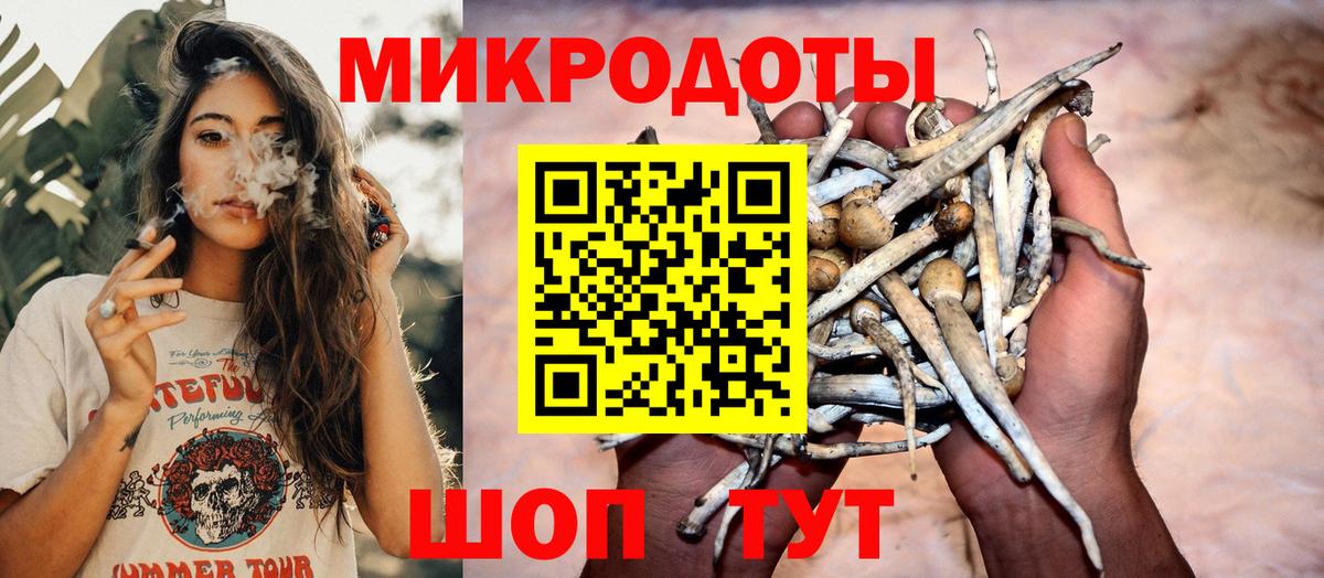 Галлюциногенные грибы прущие грибы  Вход с VPN  Галлюциногенные грибы прущие грибы  Луга 
